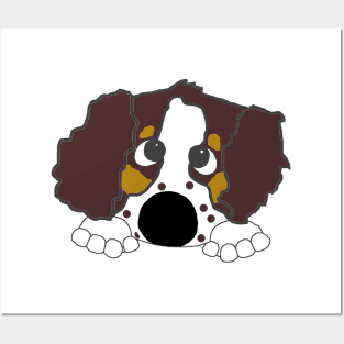 english springer spaniel liver white tan peeking cartoon Posters and Art